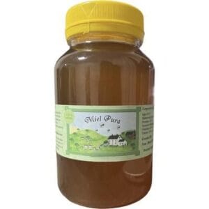 MIEL PURA X 1KG